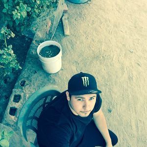 Meet your Posher, Steven